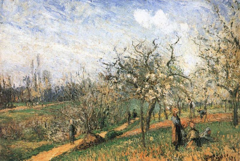 Camille Pissarro Pang map of apple Schwarz